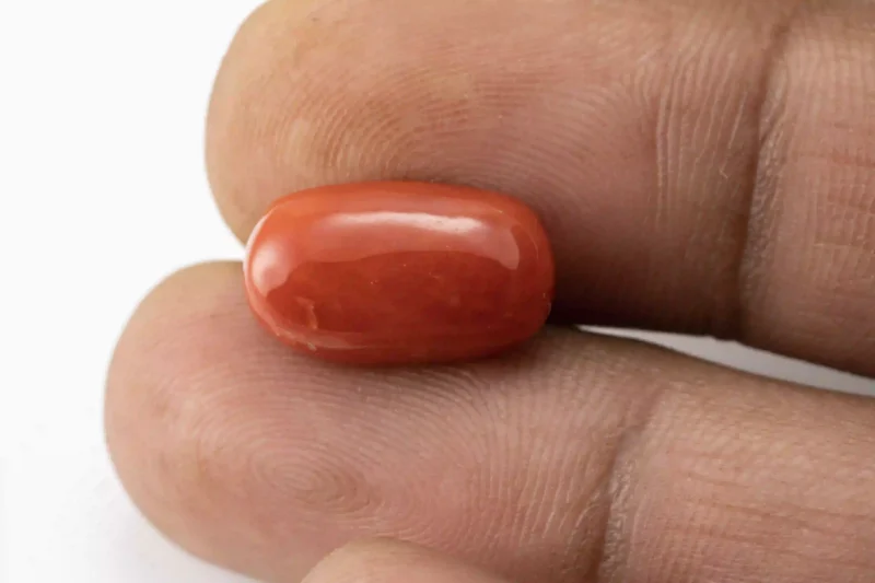 Red Coral (Moonga) 6.50 Carat / 7.14 Ratti - Size Reference