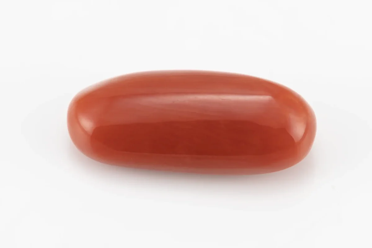 Red Coral (Moonga) 6.65 Carat / 7.31 Ratti - Back View