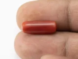 Red Coral (Moonga) 6.65 Carat / 7.31 Ratti - Size Reference