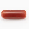 Red Coral (Moonga) 6.65 Carat / 7.31 Ratti - Back View