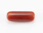 Red Coral (Moonga) 6.65 Carat / 7.31 Ratti - Back View