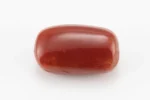 Red Coral (Moonga) 6.66 Carat / 7.32 Ratti - Back View