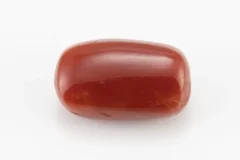 Red Coral (Moonga) 6.66 Carat / 7.32 Ratti - Back View