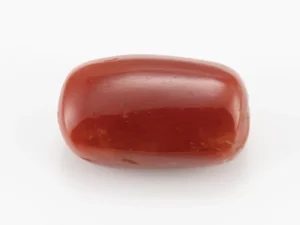 Red Coral (Moonga) 6.66 Carat / 7.32 Ratti - Back View