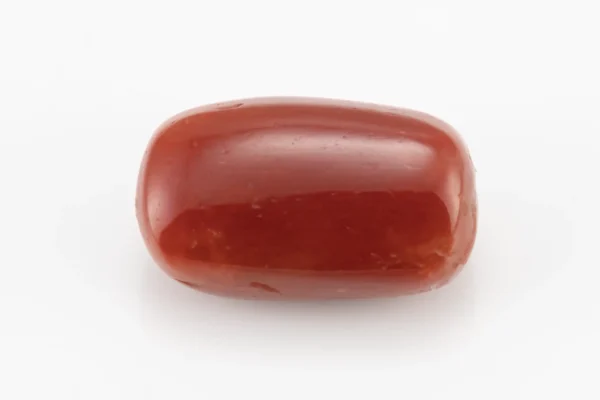 Red Coral (Moonga) 6.66 Carat / 7.32 Ratti - Back View