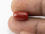 Red Coral (Moonga) 6.66 Carat / 7.32 Ratti - Size Reference