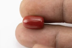 Red Coral (Moonga) 6.66 Carat / 7.32 Ratti - Size Reference