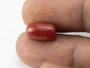 Red Coral (Moonga) 6.66 Carat / 7.32 Ratti - Size Reference