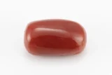 Moonga Stone 7.32 Ratti - Red Coral Stone showcasing vibrant red color and capsule-oval mix cut