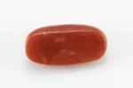 Red Coral (Moonga) 6.68 Carat / 7.34 Ratti - Back View