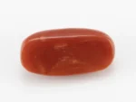 Red Coral (Moonga) 6.68 Carat / 7.34 Ratti - Back View