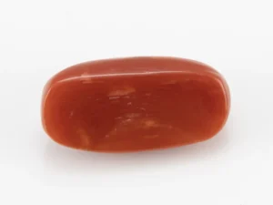Red Coral (Moonga) 6.68 Carat / 7.34 Ratti - Back View