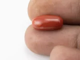 Red Coral (Moonga) 6.68 Carat / 7.34 Ratti - Size Reference