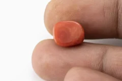 Red Coral (Moonga) 6.74 Carat / 7.41 Ratti - Size Reference