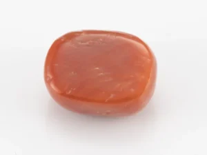 Red Coral (Moonga) 6.86 Carat / 7.54 Ratti - Back View