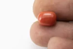 Red Coral (Moonga) 6.86 Carat / 7.54 Ratti - Size Reference