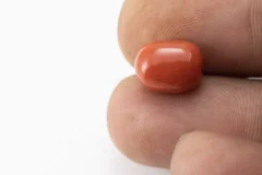Red Coral (Moonga) 6.86 Carat / 7.54 Ratti - Size Reference