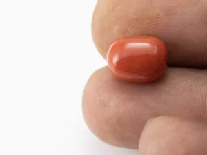 Red Coral (Moonga) 6.86 Carat / 7.54 Ratti - Size Reference