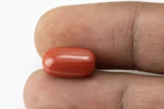 Red Coral (Moonga) 6.96 Carat / 7.65 Ratti - Size Reference