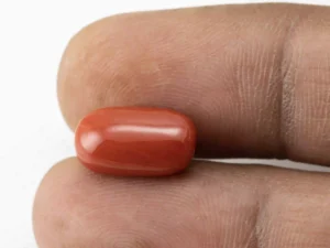Red Coral (Moonga) 6.96 Carat / 7.65 Ratti - Size Reference