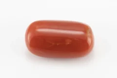 Red Coral (Moonga) 6.96 Carat / 7.65 Ratti - Back View