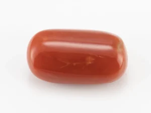 Red Coral (Moonga) 6.96 Carat / 7.65 Ratti - Back View