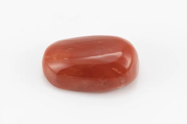 Red Coral (Moonga) 7.10 Carat / 7.80 Ratti - Front View