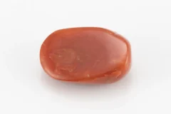 Red Coral (Moonga) 7.10 Carat / 7.80 Ratti - Back View