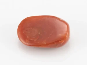 Red Coral (Moonga) 7.10 Carat / 7.80 Ratti - Back View