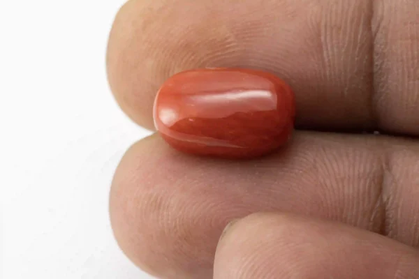 Red Coral (Moonga) 7.10 Carat / 7.80 Ratti - Size Reference