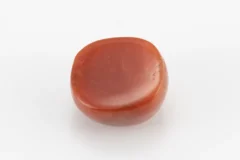 Red Coral (Moonga) 7.25 Carat / 7.97 Ratti - Back View