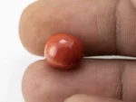 Red Coral (Moonga) 7.25 Carat / 7.97 Ratti - Size Reference