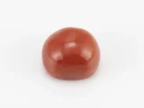 Moonga Stone 7.79 Ratti - Red Coral Stone showcasing vibrant red color and oval-capsule cut