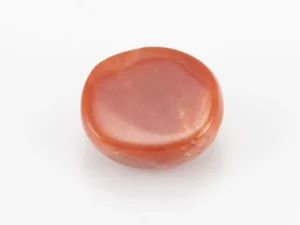 Red Coral (Moonga) 7.30 Carat / 8.02 Ratti - Back View