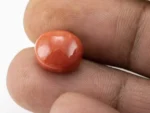 Red Coral (Moonga) 7.30 Carat / 8.02 Ratti - Size Reference