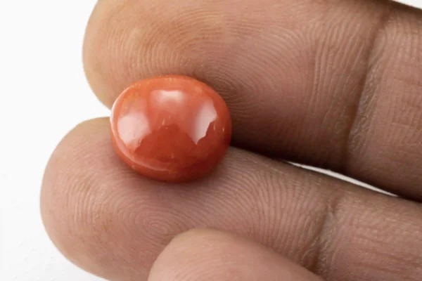 Red Coral (Moonga) 7.30 Carat / 8.02 Ratti - Size Reference