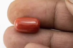 Red Coral (Moonga) 7.51 Carat / 8.25 Ratti - Size Reference