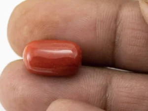 Red Coral (Moonga) 7.51 Carat / 8.25 Ratti - Size Reference