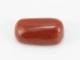 Moonga Stone 8.25 Ratti - Red Coral Stone showcasing vibrant red color and oval-capsule cut