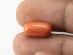 Red Coral (Moonga) 7.55 Carat / 8.30 Ratti - Size Reference
