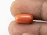 Red Coral (Moonga) 7.55 Carat / 8.30 Ratti - Size Reference