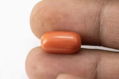 Red Coral (Moonga) 7.55 Carat / 8.30 Ratti - Size Reference