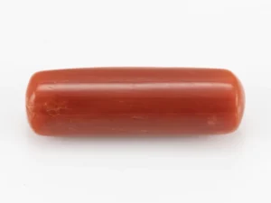 Red Coral (Moonga) 7.56 Carat / 8.31 Ratti - Back View