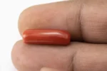 Red Coral (Moonga) 7.56 Carat / 8.31 Ratti - Size Reference