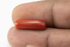Red Coral (Moonga) 7.56 Carat / 8.31 Ratti - Size Reference