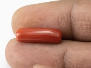Red Coral (Moonga) 7.56 Carat / 8.31 Ratti - Size Reference