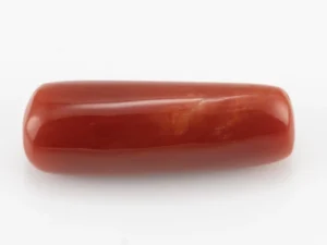 Red Coral (Moonga) 7.755 Carat / 8.522 Ratti - Back View