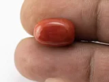 Red Coral (Moonga) 7.95 Carat / 8.74 Ratti - Size Reference