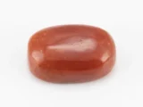 Red Coral (Moonga) 7.95 Carat / 8.74 Ratti - Front View