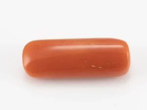 Red Coral (Moonga) 8.760 Carat / 9.626 Ratti - Back View
